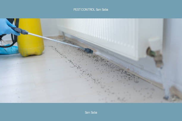 PEST CONTROL San Saba